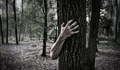 Убиец в отпуск се надруса и се загуби в гора край Варна