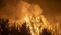 Силни ветрове разпалват горски пожари в Югозападна Турция