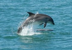 Европейската комисия оповести нова поредица наказателни процедури срещу страни