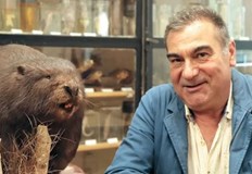 Половин година след документирането на първия бобър у нас вече