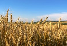 Генералният секретар на ООН Антонио Гутериш заминава за Истанбул за да