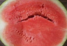 Дините вече узряха и могат да се намерят по българските