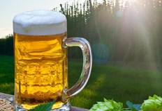 Според проф Борис Богов бъбреците страдат главно от обезводняване през