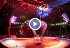 Първият Международен цирков фестивал у нас ще се състои в