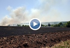 Пламъците са се разпространили на площ от около 100 дкаВилната