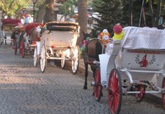 Мъжът който го е управлявал е отказал да бъде тестван