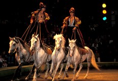 Цирковият фестивал е уникално културно събитие където си дават среща