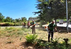 Седмичен отчет за дейността на общинска администрация Русе за