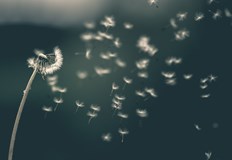 През нощта ще бъде предимно ясно в повечето райони със