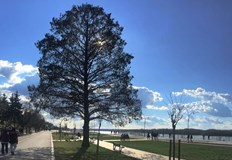 Ограбеният младеж бил заплашен че ще му вземат колелотоНа 4