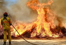 В петък и събота пламнаха общо 250 пожараОколо 1500 пожарникари