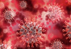 Това означава че след като бъде заразено със SARS CoV 2 сърцето