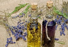 По 10 12 кг масло от декар добиват стопаните от Добруджа