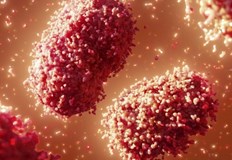 Осем от случаите са свързани с пътувания зад границаОбщо 13