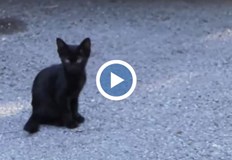 Тя хвърлила няколко пъти срещу парапет на тераса две малки