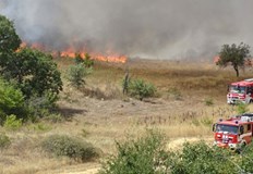 От началото на лятото до момента сигналите за произшествия са