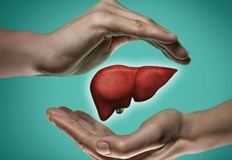 Те трябва да съдържат антиоксиданти пектин или омега 3 мастни киселиниНаличието на антиоксиданти