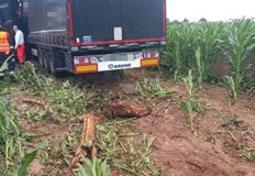 Пиян български тираджия затрудни движението по аутобан 85 в ГерманияВчера