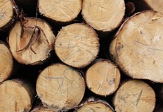 Осигурени са над 1 млн куб м цепеници за населениетоЕдин