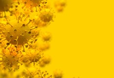 Област Русе се нарежда на дванайсето място в страната по