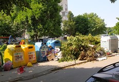 Мина един месец а общината още не е почистила падналите