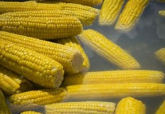 Поради фибрите съдържащи се в царевицата не всеки трябва да