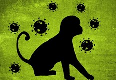 По данни на организацията от началото на годината общият брой