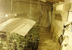 Помещавала се е в къща в местността Боровец край ВарнаНаркооранжерия