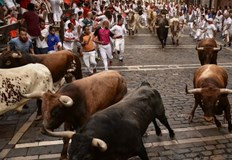 40 души бяха ранени на фестивал с корида в ИспанияНито