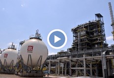 Тогава цените моментално ще паднат с лев и повече Всяко едно