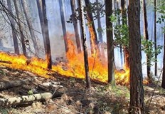 Огнището бушува над пътното управлениеГолям пожар бушува в Габрово съобщиха