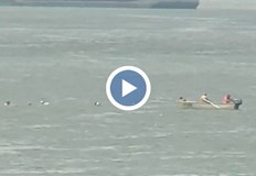 90 годишен плувец ветеран се впусна в 9 километрово плуване по река Дунав