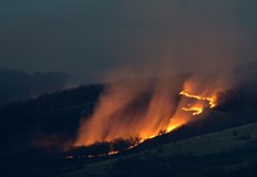 Пламъците обхванаха около 1000 декара сухи треви пасища и лесонепригодни площиПожар
