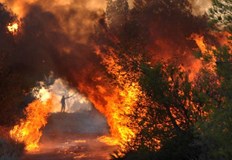 Прокуратурата разследва сигнали за умишлени палежиВ Гърция разследват причините за