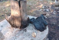 Пожар в района на община Невестино са гасили горски служители