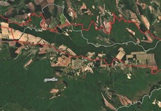 Под защита са алувиални крайречни смесени панонски гори включено е