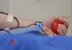 Причината бил над 60 годишна възрастБанда от петима души търгувала