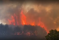 По рано огнената стихия беше овладянаПожарът край Казанлък пламна отново съобщи По рано