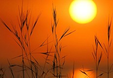 През Горещниците не се ходи на нива не се работи не се