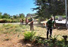 И през настоящата седмица продължава косенето по график на тревните