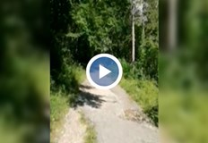 Районът където 51 годишна жена от София загина вследствие на падане