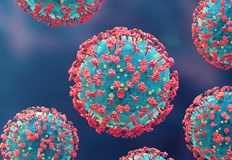 1944 нови случая на коронавирус1944 са новите случаи на коронавирус