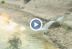 Продължава замърсяването на река Дунав край РусеОт един от колекторите периодично