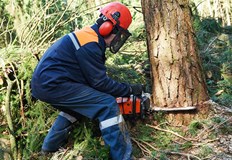 Той е с черепно мозъчна травма и е настанен в русенска болница36 годишен