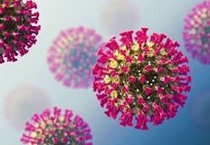 Едва една трета от случаите влизат в официалната статистикаЗаради увеличената