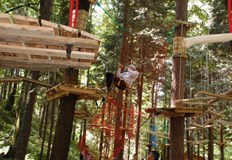 Два горски терена в Лесопарк Липник ще бъдат отдадени под