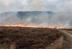 От 25 юли до 7 август се забранява косенето на