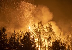 Подобни пожари опустошиха 140 000 хектара площи миналата годинаПожарникари се борят с