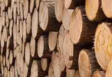 Цените на дървата за огрев са в голям диапазон