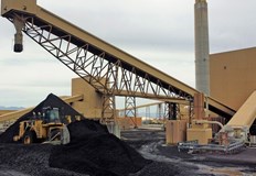 Търсенето на въглища в глобален мащаб през тази година е